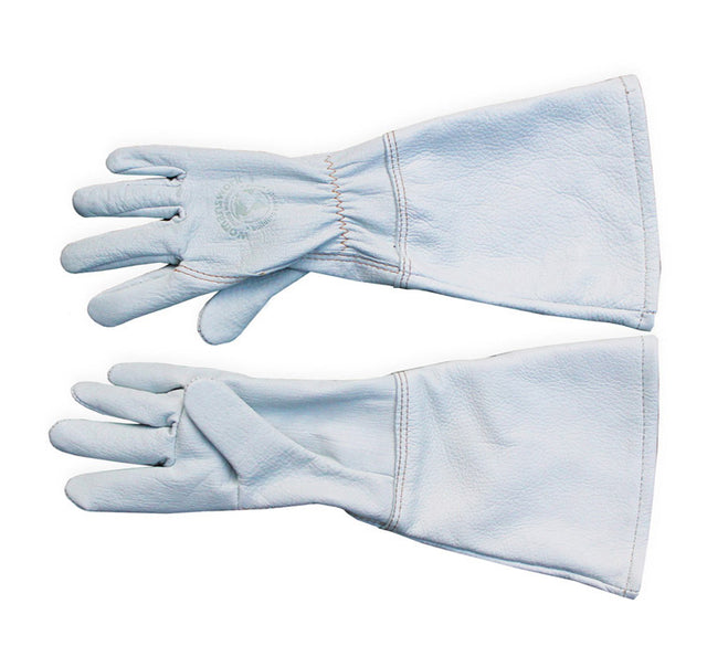 Pair of light blue gloves on a white background