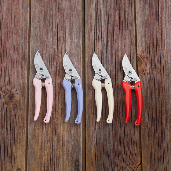 Four pairs of garden pruners with different colored handles on a wooden background