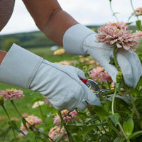 The Gardeners' Goatskin Glove