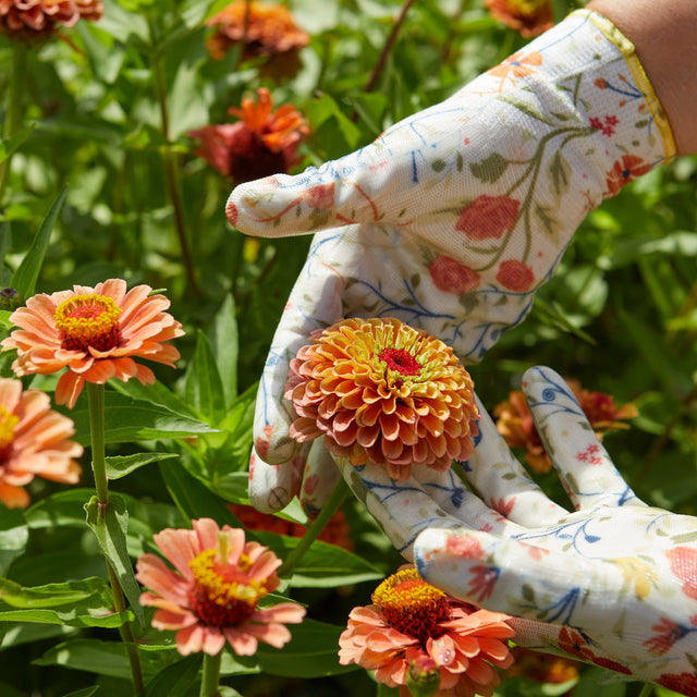 Garden of Paradise