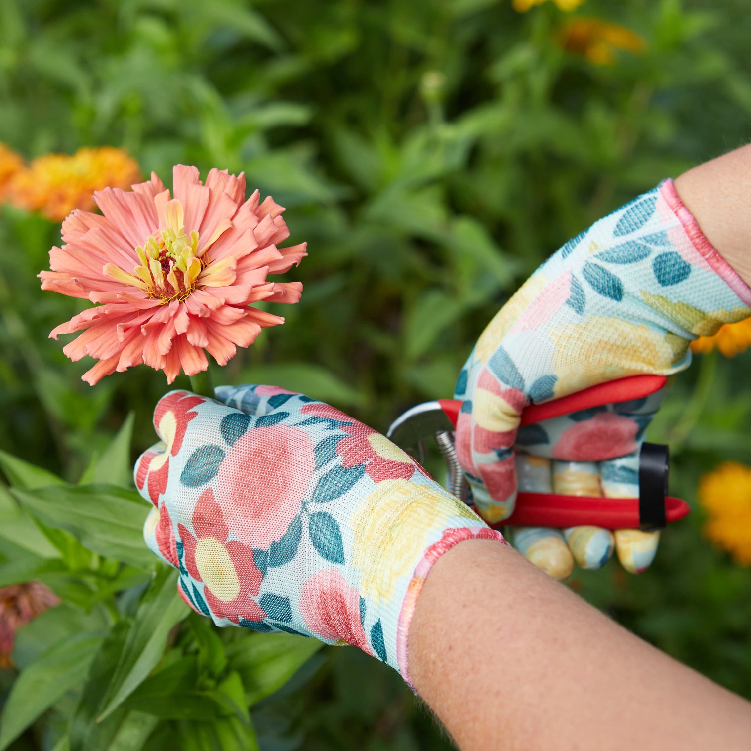 Heirloom Garden