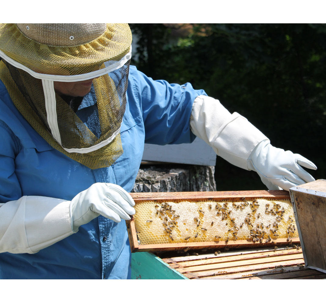 Beekeeping Gloves