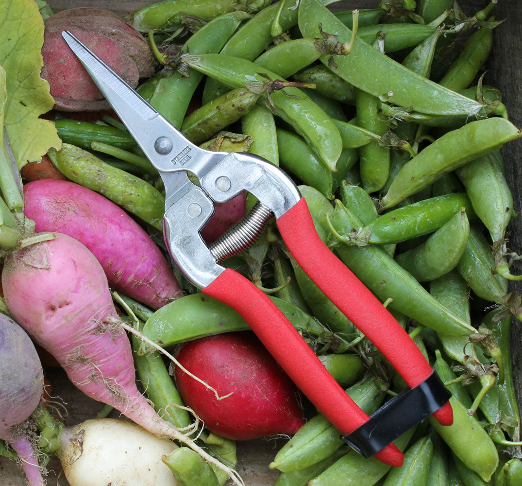 Compact Pruning Shears - Thumbnail 2