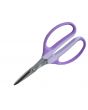 Incomparable Scissors