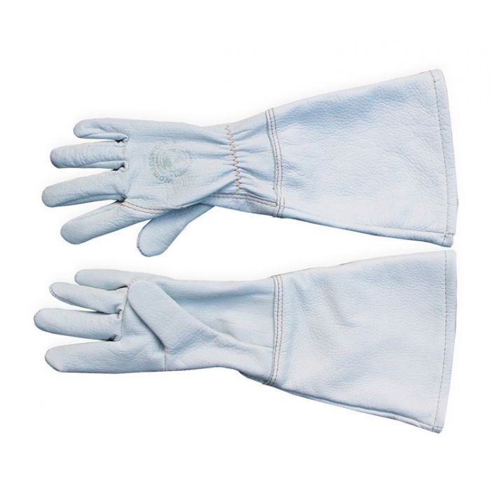 Goatskin Gauntlet Glove Sample Sale